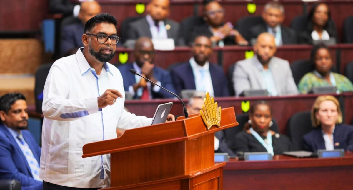 President Ali addressing a recent investment conference in Guyana