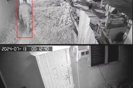 Screenshots of the security footage of her ex lurking around her property 