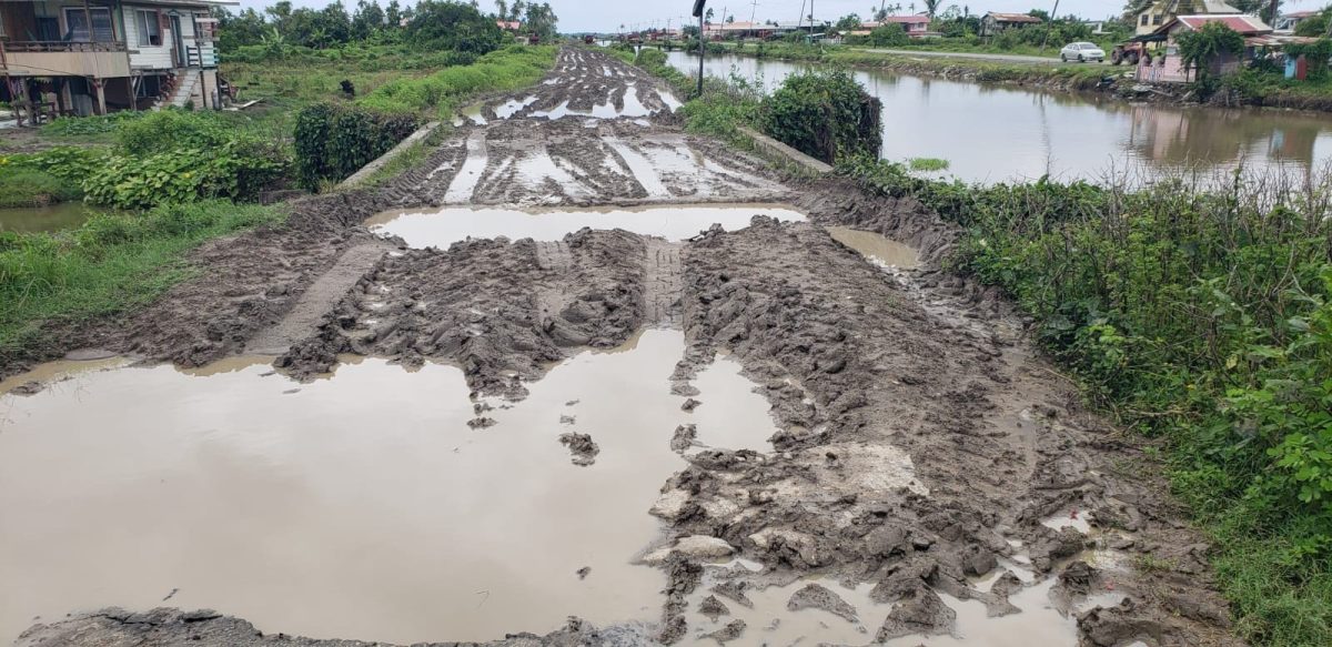 One of the deplorable dams 