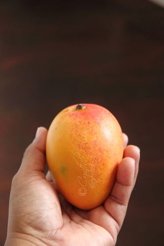 Hand-picked Mango
(Photo by Cynthia Nelson)
