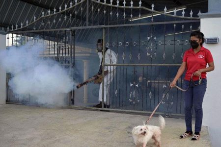 TACKLING MOSQUITOES: Indrani Ramcharitar stands with her pet dog Snookie yesterday as an employee of the Penal/Debe Regional Corporation’s insect vector unit sprays for mosquitoes at her home at Mahadeo Trace, Debe. Mosquitoes transmit dengue haemorrhagic fever. —Photo: DEXTER PHILIP