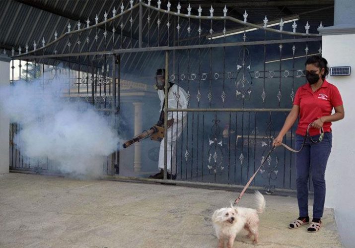 TACKLING MOSQUITOES: Indrani Ramcharitar stands with her pet dog Snookie yesterday as an employee of the Penal/Debe Regional Corporation’s insect vector unit sprays for mosquitoes at her home at Mahadeo Trace, Debe. Mosquitoes transmit dengue haemorrhagic fever. —Photo: DEXTER PHILIP