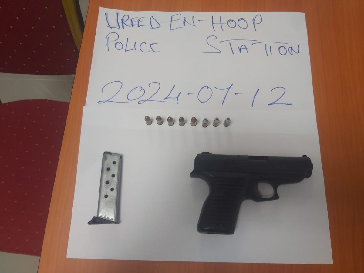 The pistol retrieved (Police photo)