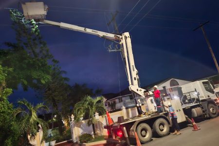   A pine tree fell on power lines yesterday cutting electricity to customers between  Better Hope to Success, East Coast Demerara. This GPL photo shows a crew working last night to restore power.