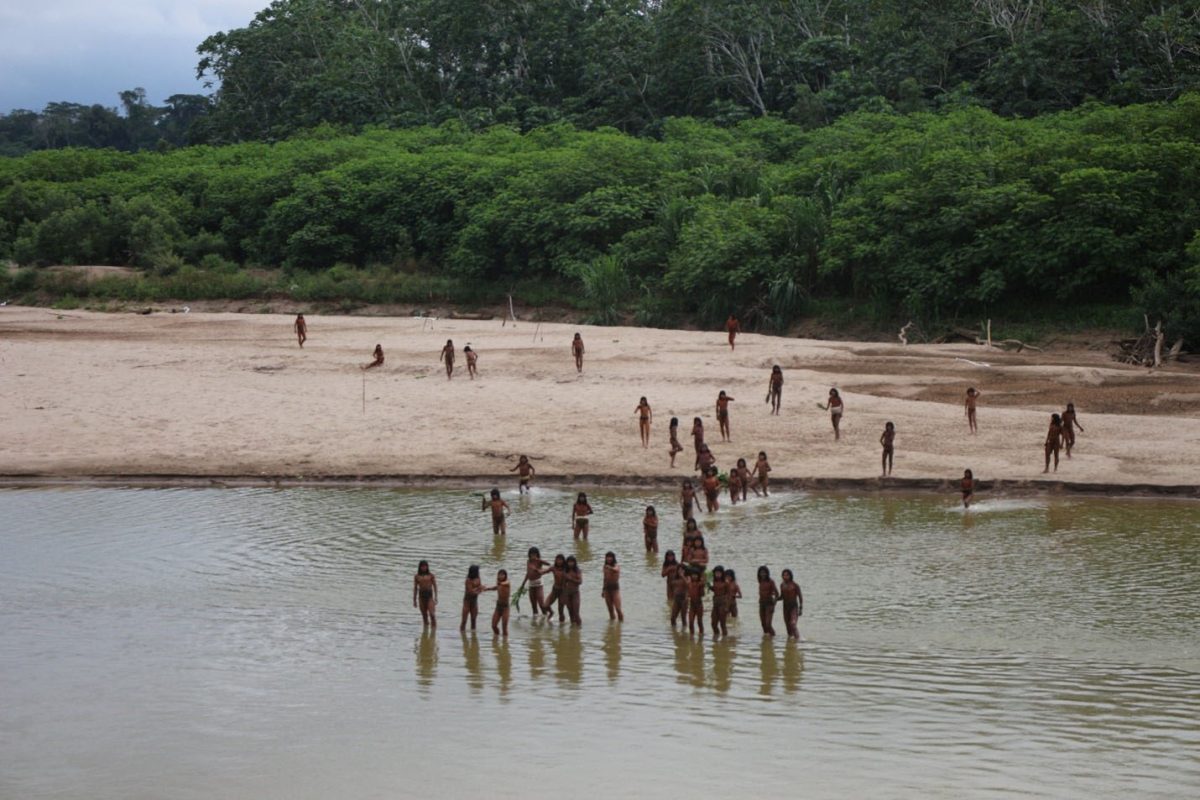 Members of the Mashco Piro Indigenous community, a reclusive tribe and one of the world’s most withdrawn, gather on the banks of the Las Piedras river where they have been sighted coming out of the rainforest more frequently in search of food and moving away from the growing presence of loggers, in Monte Salvado, in the Madre de Dios province, Peru, June 27, 2024. Survival International/Handout via REUTERS