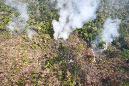 Aerial view of an area of Amazon rainforest deforested by illegal fire in the municipality of Labrea, Amazonas State, Brazil on August 20, 2024. . Residents of Porto Velho in the Brazilian Amazon have barely seen sunlight in days as a thick cloud of smoke from forest fires envelops their city. (Photo by EVARISTO SA / AFP)