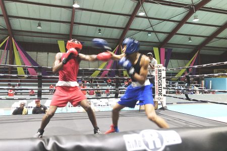 Action between Antonio Stephens (red) of Guyana and Jaquan Grant of Barbados in the Junior 66Kg category
