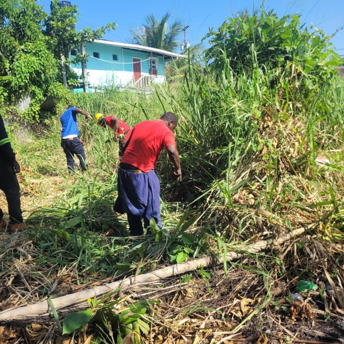 GWI workers clearing vegetation to locate chamber