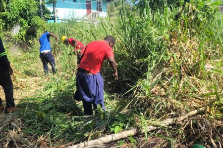 GWI workers clearing vegetation to locate chamber