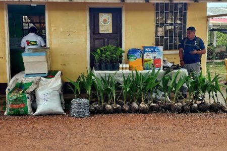 Some of the items handed over (Ministry of Agriculture photo)