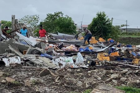 Some of the squatters’ homes that were destroyed at Mocha Arcadia