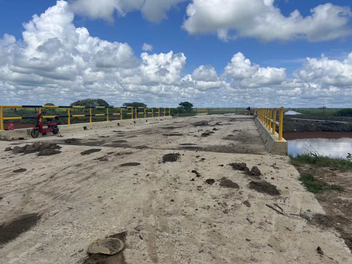 The newly constructed bridge aback Number 58 Corentyne connecting the farm to market road leading to the Canje Creek through rice and cattle pastures
