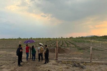 Quiko Village embarked on an agriculture initiative that will catapult the village in achieving food security and financial stability (DPI photo)