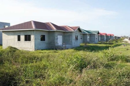 Some of the young professional houses that are nearing completion (DPI photo)