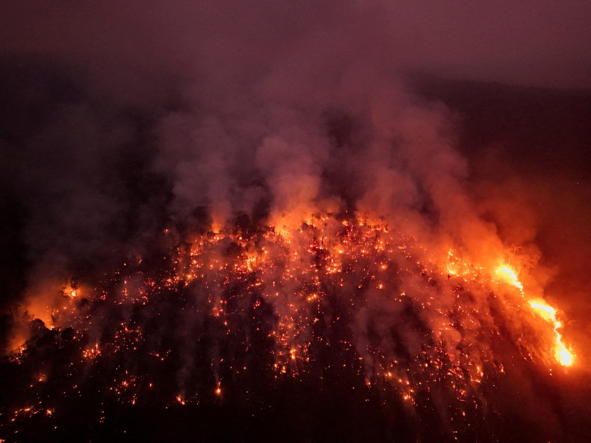 FILE PHOTO: A view of the devastation caused by a forest fire in the Amazon in an area of the Trans-Amazonian Highway BR230 in Labrea, Amazonas state, Brazil September 4, 2024. REUTERS/Bruno Kelly/File Photo