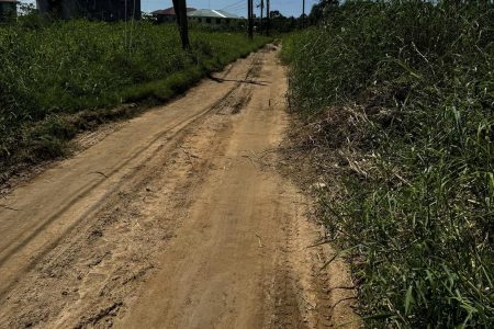 Where the road is to be built (Ministry of Public Works photo) 