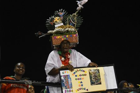 Supporters of Guyana Amazon Warriors during the Men’s 2024 Republic Bank Caribbean Premier League match 21 between Guyana Amazon Warriors and Saint Kitts and Nevis Patriots at Guyana National Stadium las night in Providence, Guyana. (Photo by Randy Brooks/CPL T20 via Getty Images)