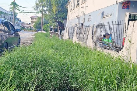 Part of the area to be cleared (Ministry of Local Government photo)
