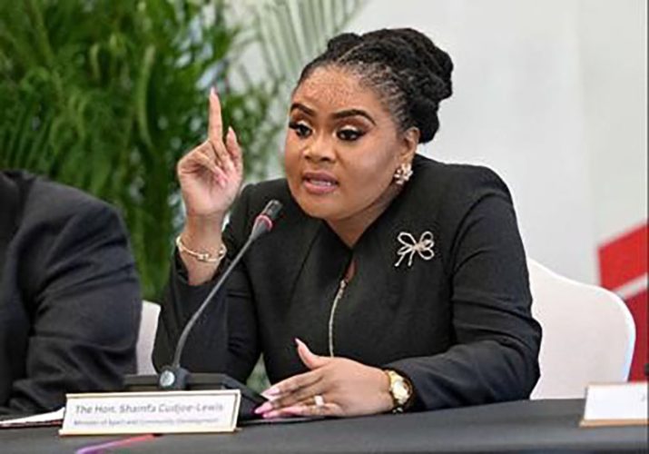 Shamfa Cudjoe-Lewis
