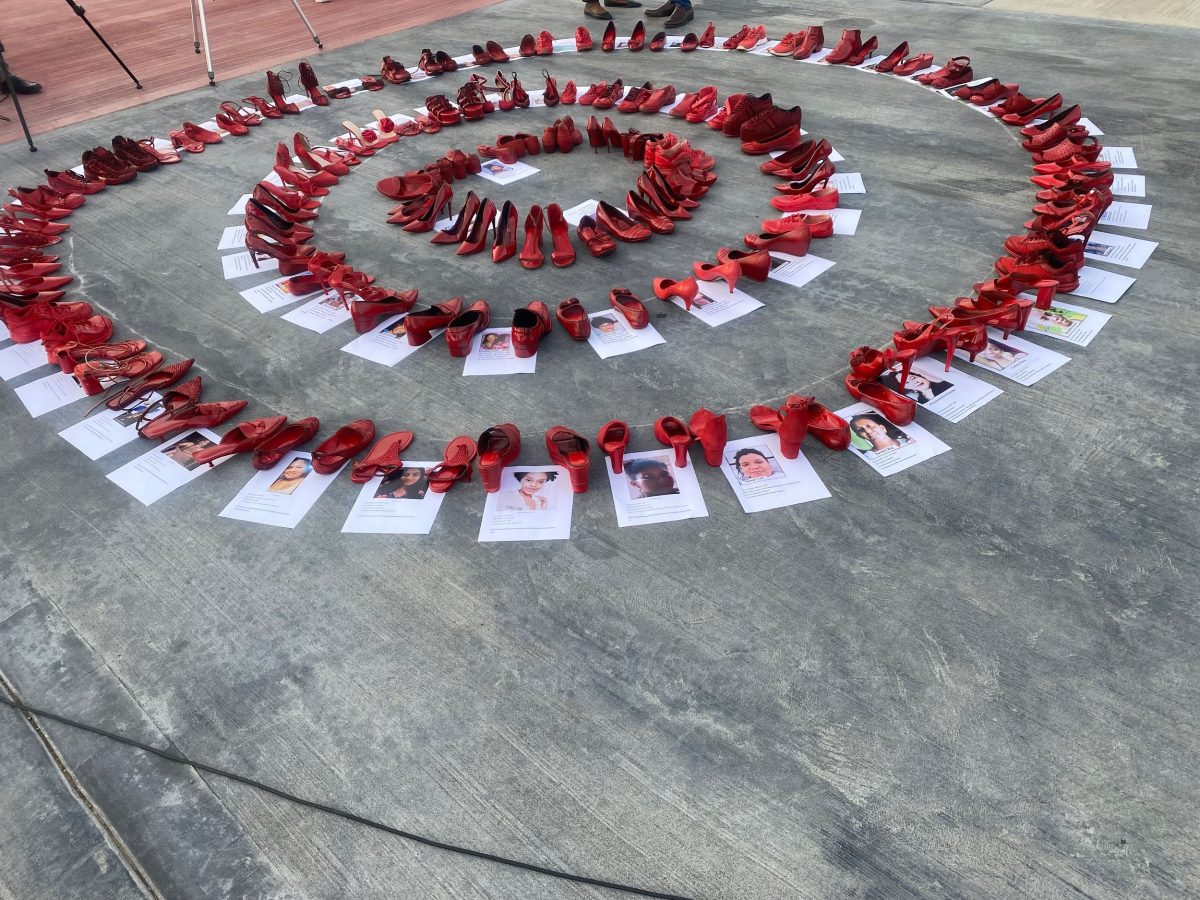 In recognition of International Day for the Elimination of Violence Against Women, the Women and Gender Equality Commission yesterday partnered with the Civil Society National Reference Group on an initiative known as the Red Shoe Project, which kick started the observance of #16 days of activism against gender-based violence. Red shoes were yesterday displayed on the Seawall Bandstand with profiles of victims.