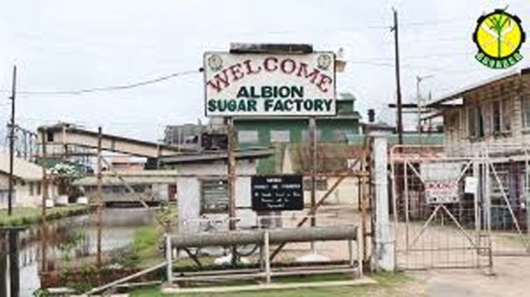 The Albion Sugar Factory (GuySuCo photo)