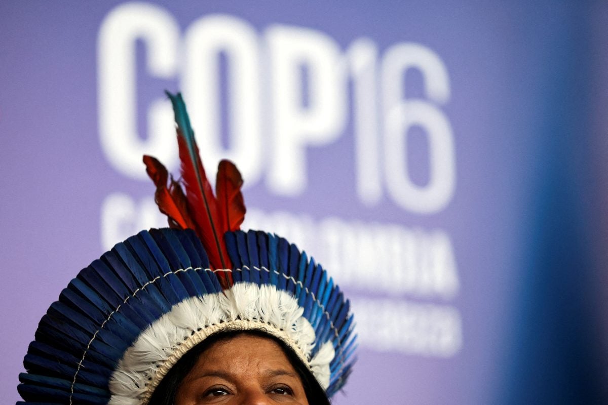 FILE PHOTO: A Brazilian indigenous woman wears a feather headdress, during a press conference at the 16th United Nations Biodiversity Summit (COP16), in Yumbo, Colombia October 31, 2024. REUTERS/Luisa Gonzalez/File Photo