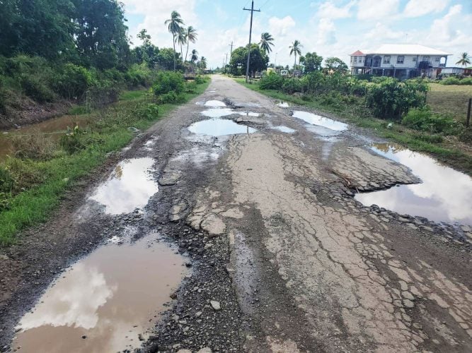 Part of the Mahaicony Branch Road (Ministry of Public Works photo)