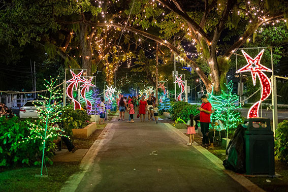 The One Guyana Christmas Village and Supermarket on Main Street. (Vice President Bharrat Jagdeo’s Facebook page)