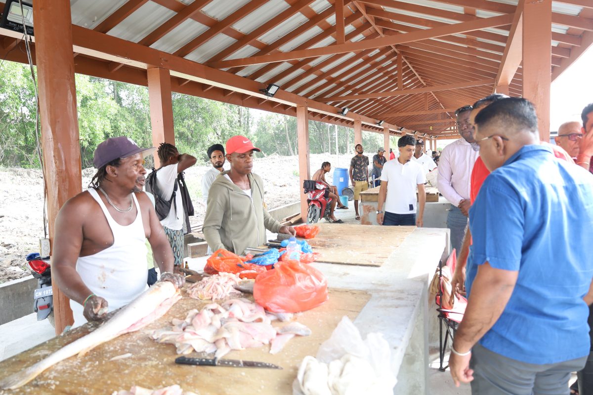 Minister of Agriculture, Zulfikar Mustapha (right), engaging fishmongers at the Meadowbank wharf (Ministry of Agriculture photo)