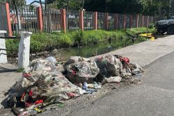 Garbage on North Road