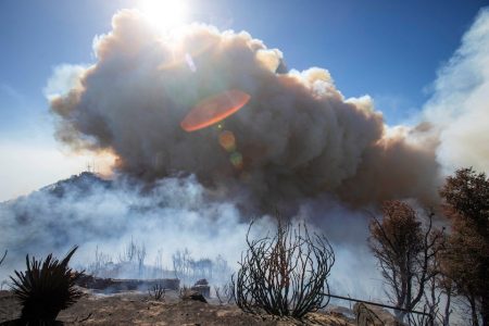 Smoke is seen in the Angeles National Forest near Mt. Wilson as the wildfires burn in the Los Angeles area, at the Eaton Fire in Altadena, California, US January 9, 2025.  Reuters