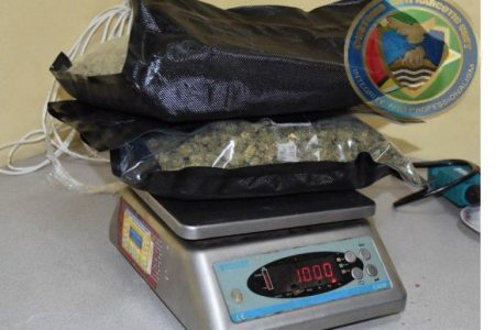 The cannabis being weighed (CANU photo)