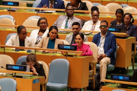 First Lady Arya Ali (right in second row) and her delegation during her address