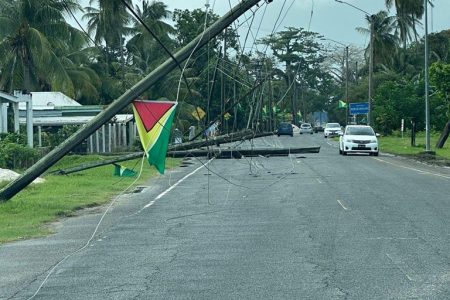 A pole down between Columbia and Central Mahaicony (GPL photo)
