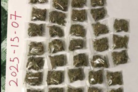 Some of the marijuana found