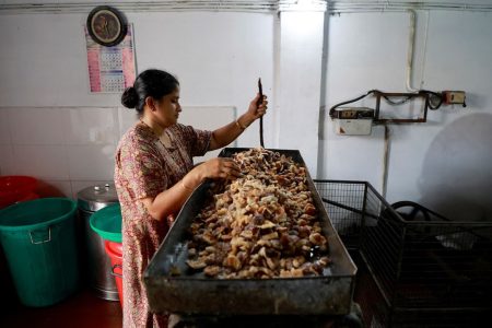 Vanitha Anand Bhat, 43, uses an oil expeller machine to crush copra to extract coconut oil inside her small coconut mill in Kochi, India, July 23, 2025. REUTERS/Sivaram V 