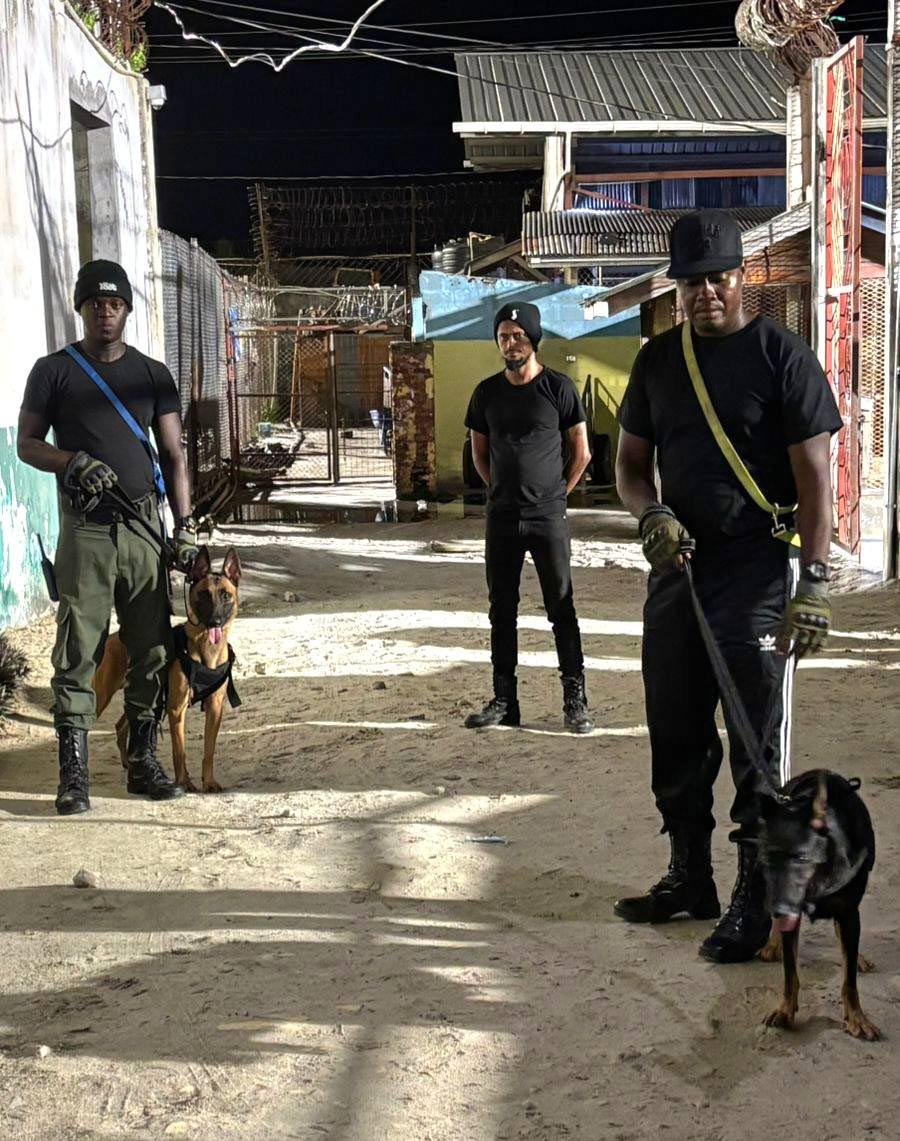 Prison Service reintroduces Canine service to enhance operations