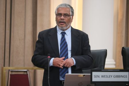 Temporary Independent Senator Wesley Gibbings makes his maiden contribution on the Constitution (Amendment) (Citizenship) Bill, 2025.COURTESY:OFFICE OF THE PARLIAMENT